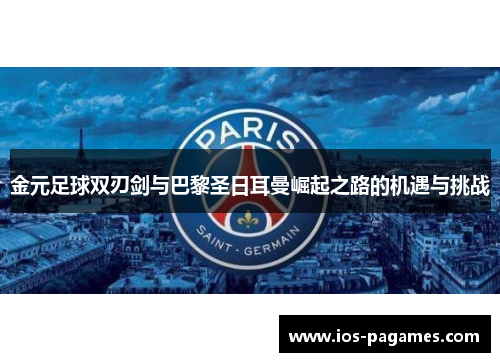 金元足球双刃剑与巴黎圣日耳曼崛起之路的机遇与挑战 金元足球双刃剑与巴黎圣日耳曼崛起之路的机遇与挑战