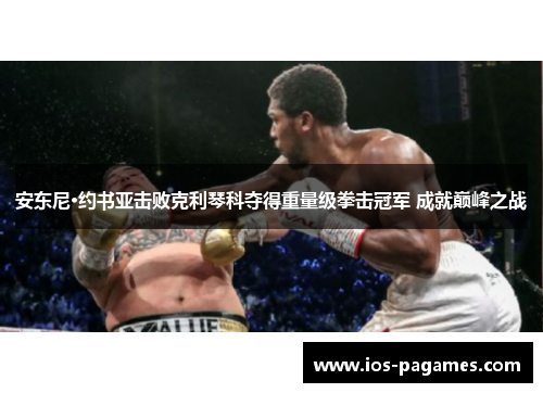 安东尼·约书亚击败克利琴科夺得重量级拳击冠军 成就巅峰之战 安东尼·约书亚击败克利琴科夺得重量级拳击冠军 成就巅峰之战