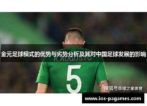 金元足球模式的优势与劣势分析及其对中国足球发展的影响